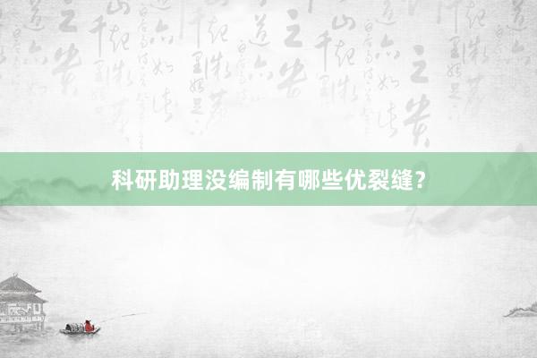 科研助理没编制有哪些优裂缝？